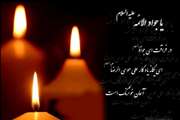 شهادت حضرت امام محمد تقی جوادالائمه(ع) تسلیت باد